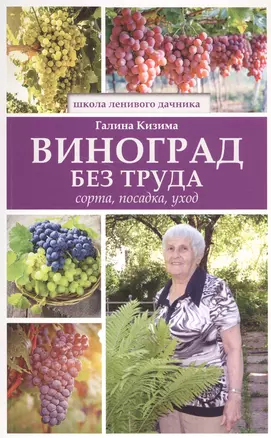 Виноград без труда — 2574403 — 1