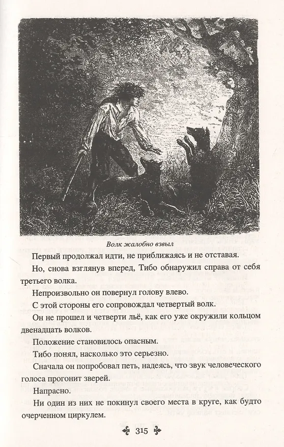 Книга Женитьбы папаши Олифуса. Предводитель волков (Александр Дюма (отец)) — 5