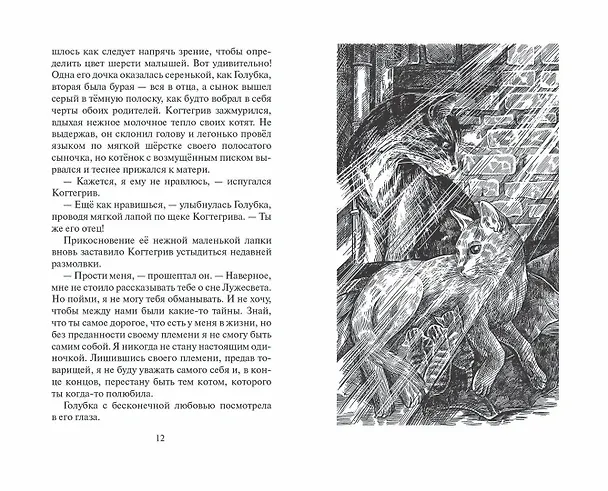 Книга Тень Когтегрива. Книга 2. Возвращение (Эрин Хантер) — 6