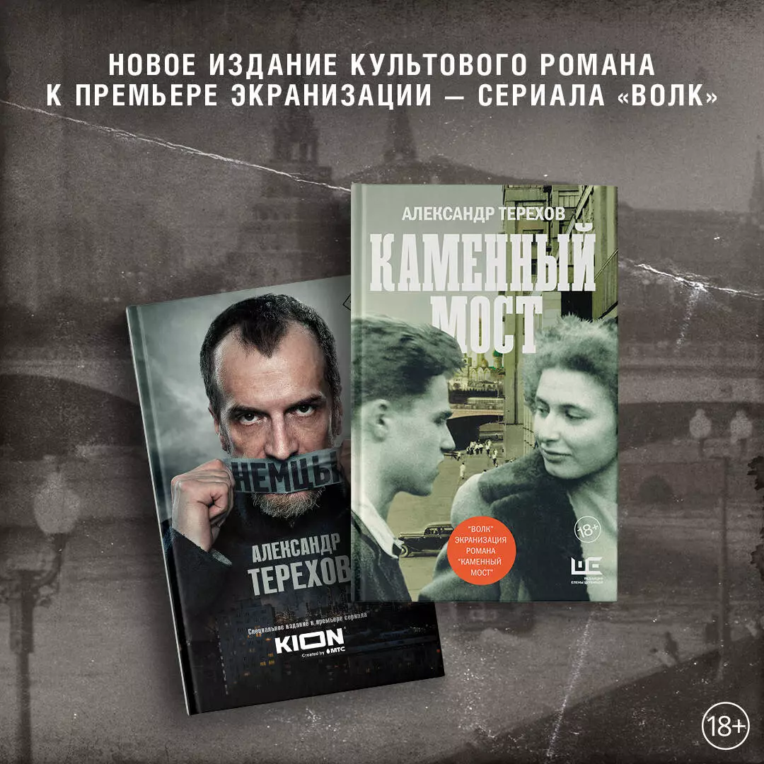 Каменный мост (Александр Терехов) - купить книгу с доставкой в  интернет-магазине «Читай-город». ISBN: 978-5-17-144903-2