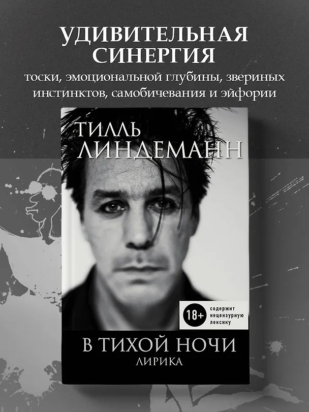 Книга В тихой ночи. Лирика (Тилль Линдеманн) — 5