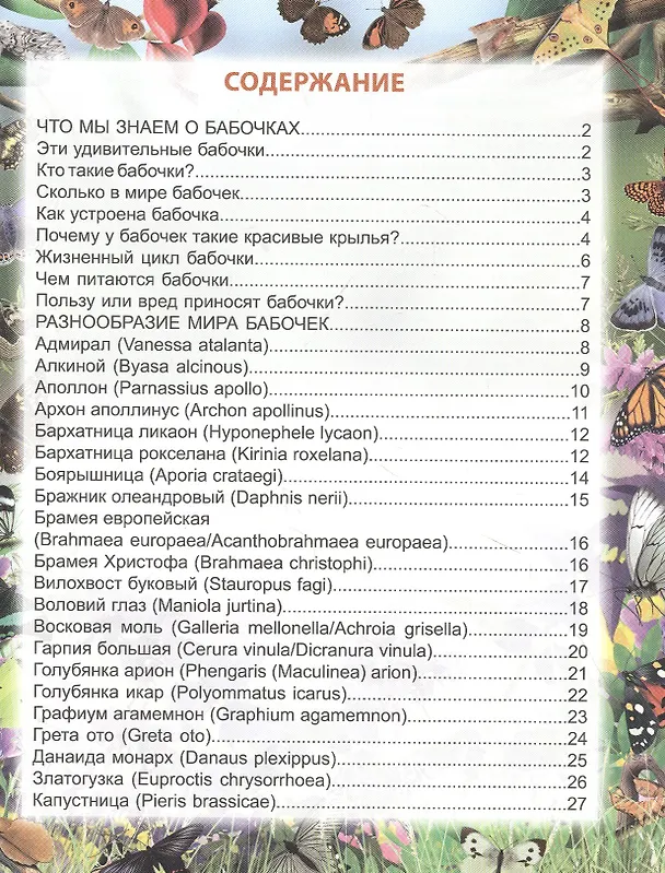 Книга Бабочки. Энциклопедия (Людмила Соколова) — 2