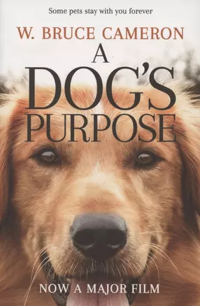 A Dog’s Purpose — 2847509 — 1