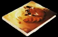 Блокнот "Китюни" Рыжик (0101134) (Еж Стайл)