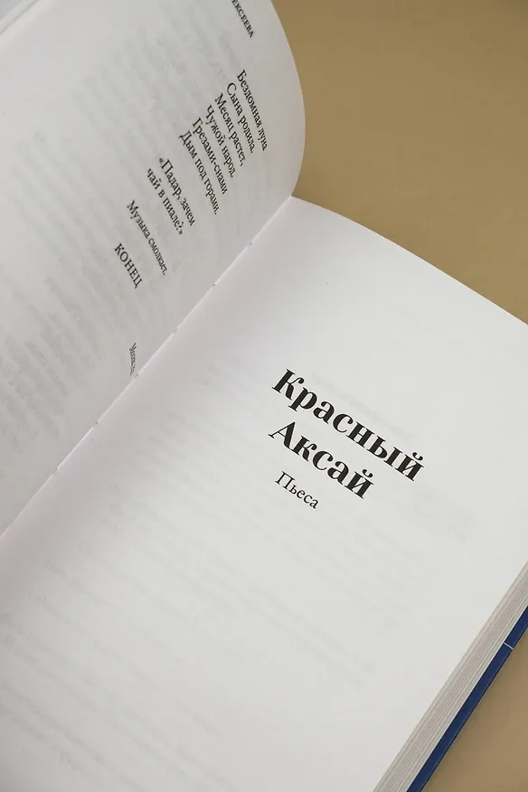Книга Недиалог (Надя Алексеева) — 13