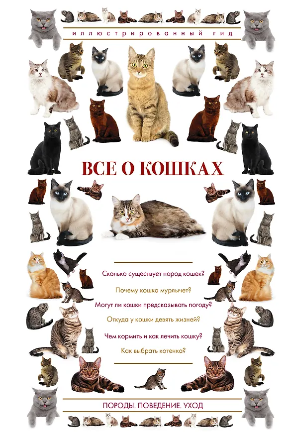 Книга Все о кошках. Иллюстрированный гид (Николай Непомнящий) — 1