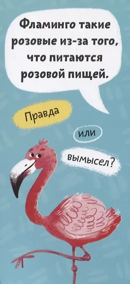 Книга Удивительные животные. Книжка-веер для детей () — 2