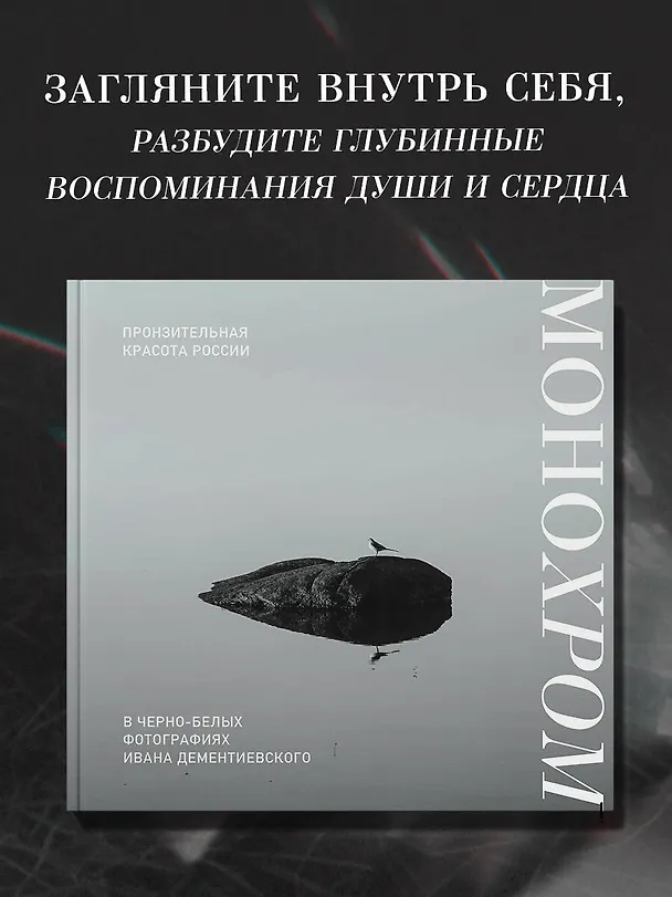 Книга Монохром. Пронзительная красота России в черно-белых фотографиях Ивана Дементиевского (Иван Дементиевский) — 6