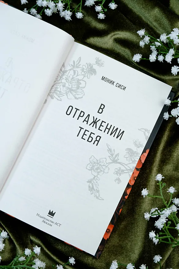 Книга В отражении тебя (Моник Сиси) — 9
