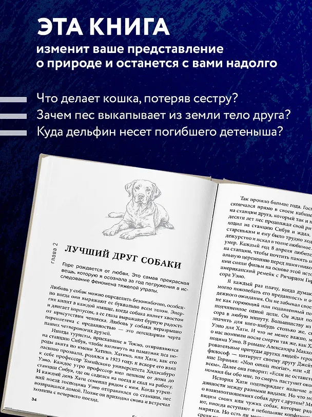 Книга Как животные скорбят. Что чувствуют кошки, слоны, дельфины и другие, теряя близких (Барбара Дж. Кинг) — 7