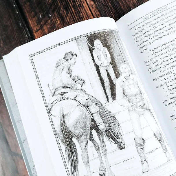 Книга Ведьмак: Башня Ласточки (Анджей Сапковский) — 11