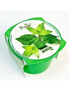 Набор для выращивания "Зелень круглый год" Мята (411951)