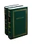 Варлам Шаламов. Стихотворения и поэмы. В двух томах. Том 1. Том 2 (комплект из 2 книг) — 2807514 — 1