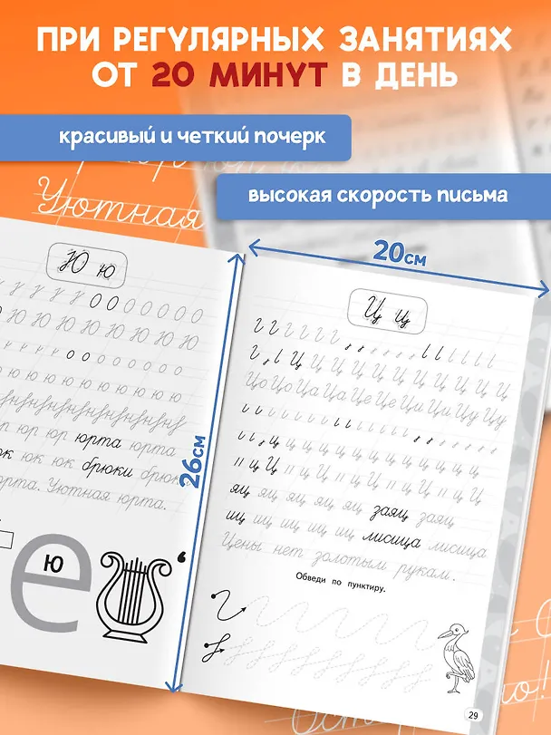 Книга Новый тренажёр по чистописанию. 1 класс (Владимир Королев) — 5