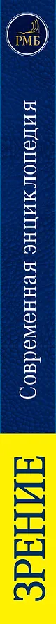 Книга Зрение. Современная энциклопедия (Татьяна Елисеева) — 3