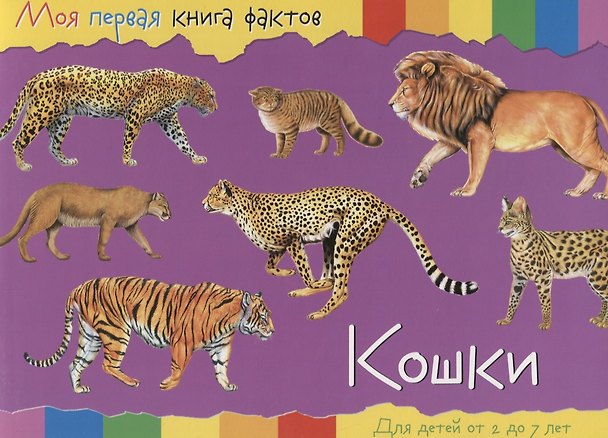 Книга Кошки (2-7 лет) (+ накл.) (мМояПервКнФакт) () — 1