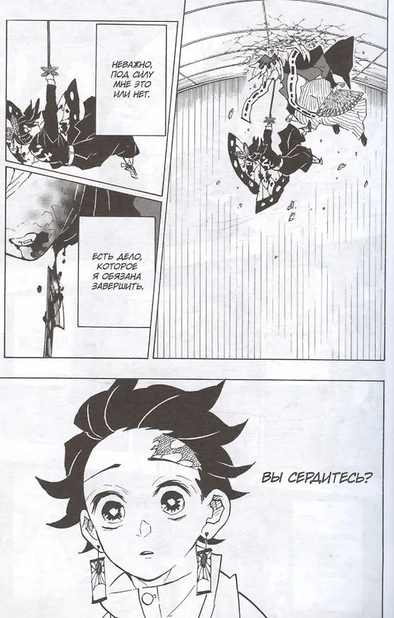 Истребитель демонов. Том 17 (Клинок, рассекающий демонов / Demon Slayer: Kimetsu no Yaiba). Манга 3025703 — 7