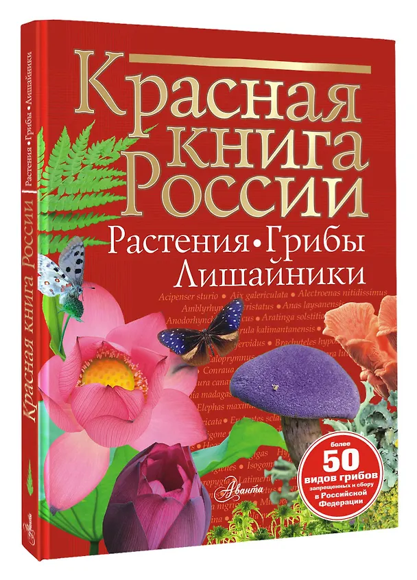 Книга Красная книга России. Растения. Грибы. Лишайники (Ирина Пескова) — 4