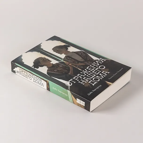 Книга Отражения нашего дома (Диба Заргарпур) — 4