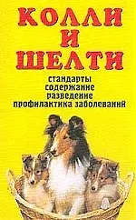Колли и шелти