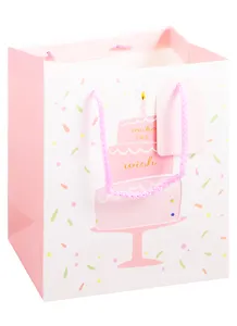 Пакет А5 23*18*10 Party Mix жен., бум.мат.ламинат, ассорти