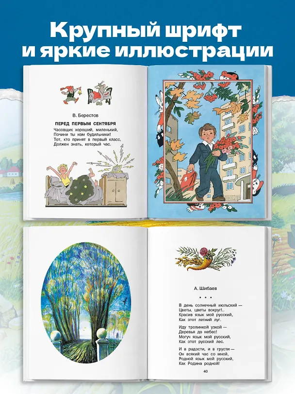 Книга Родничок. Книга для внеклассного чтения в 1 классе (Николай Сладков, Афанасий Фет, Иван Соколов-Микитов, Агния Барто, Г.Н. Губанова) — 6