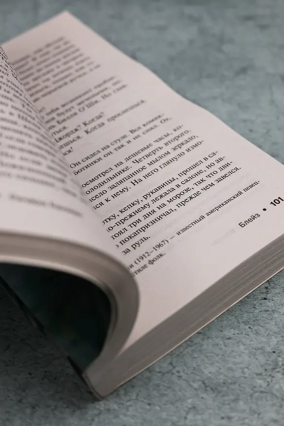 Книга Блейз (Стивен Кинг) — 8