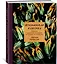 Итальянская классика. Рецепты и вкусные традиции от Турина до Сицилии — 2907338 — 2