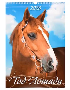Календарь 2026г 320*480 "Год Лошади. Вид 2" настенный, на спирали