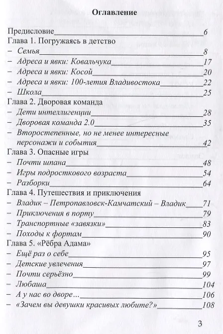 Книга Владик (Владимир Костин) — 2