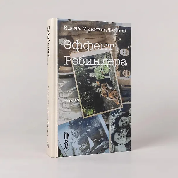 Книга Эффект Ребиндера  (Елена Минкина-Тайчер) — 4