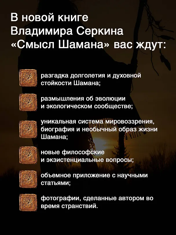 Книга Смысл Шамана (Владимир Серкин) — 6