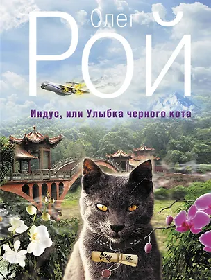Книга Индус, или Улыбка черного кота: роамн (Олег Рой)