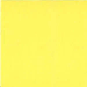 Бумага для пастели 50*65 "Tiziano" 160г/м2 №20 лимонный, Fabriano