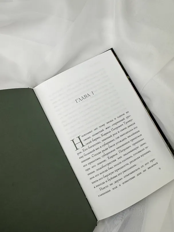 Книга Дубровский (Александр Пушкин) — 12