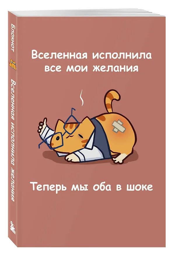 Книга для записей А5 64л лин. "Мурчальня. Вселенная исполнила все мои желания" 3141652 — 2
