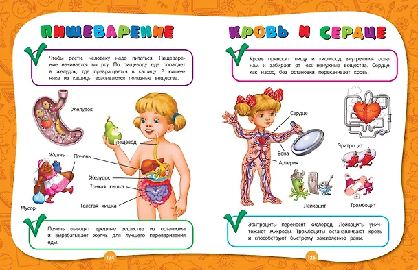 Книга Полный годовой курс занятий: для детей 4-5 лет (Таисия Мазаник, Елизавета Малевич, Елена Лазарь) — 10