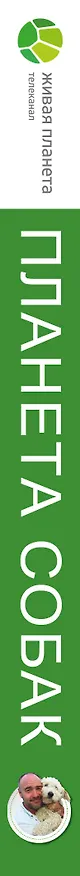 Книга Планета собак () — 3