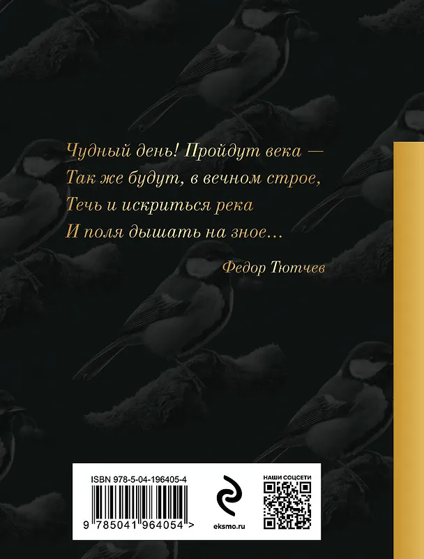 Книга Комплект Родина моя (из 2-х книг Русские поэты о природе Стихотворения о Родине) () — 8
