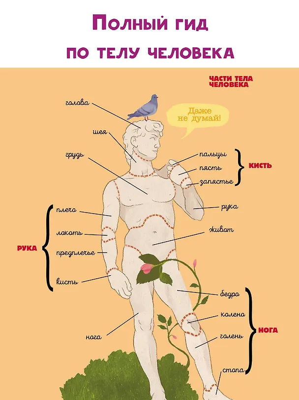 Книга Тело человека (Вячеслав Дубынин) — 7