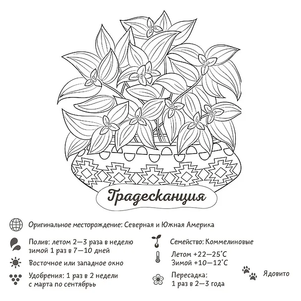 Книга Раскраска-трекер. Растущие в темноте (Екатерина Кузнецова) — 9
