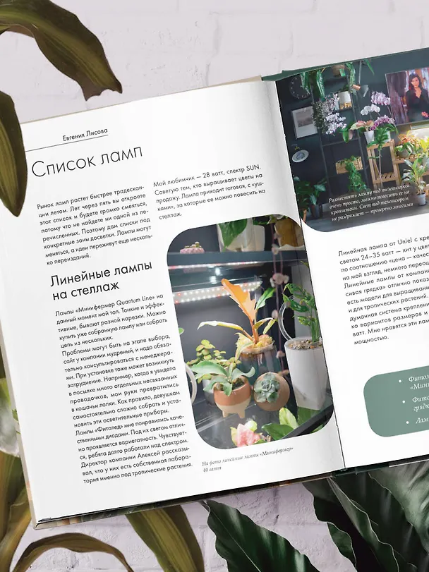 Книга Заклинатель комнатных растений. Секретные лайфхаки от профессионального цветовода (Евгения Лисова) — 15