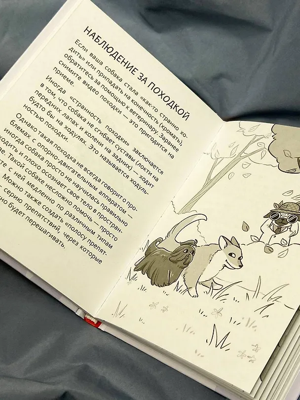 Книга ПоШЕРСТим! Как массировать собаку (Максим Коротенко) — 6