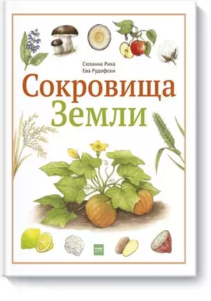 Сокровища Земли — 2605233 — 1