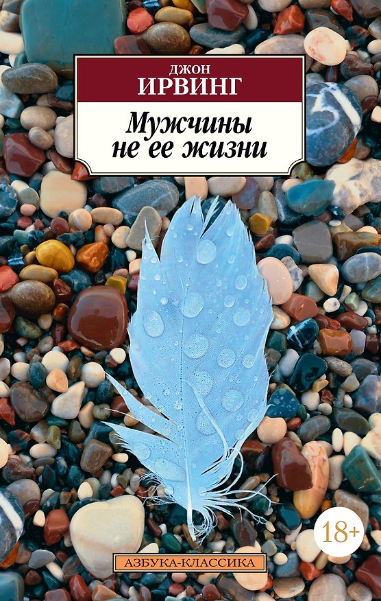 Книга Мужчины не ее жизни (Джон Ирвинг) — 1