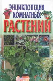 Энциклопедия комнатных растений — 1667679 — 1