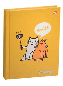 Записная книжка А6 96л "Графика. Кот-фотограф" 7БЦ, гл.лам., Listoff
