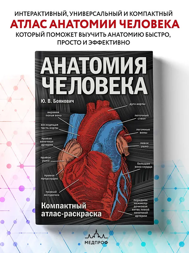 Книга Анатомия человека: компактный атлас-раскраска (Юрий Боянович) — 5