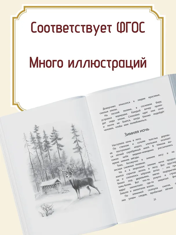 Книга Год в лесу (Иван Соколов-Микитов) — 5