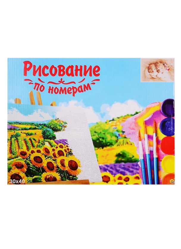 Набор для раскрашивания по номерам ТМ Рыжий Кот Холст Спящие котята 30х40см Х-9089 2798302 — 1